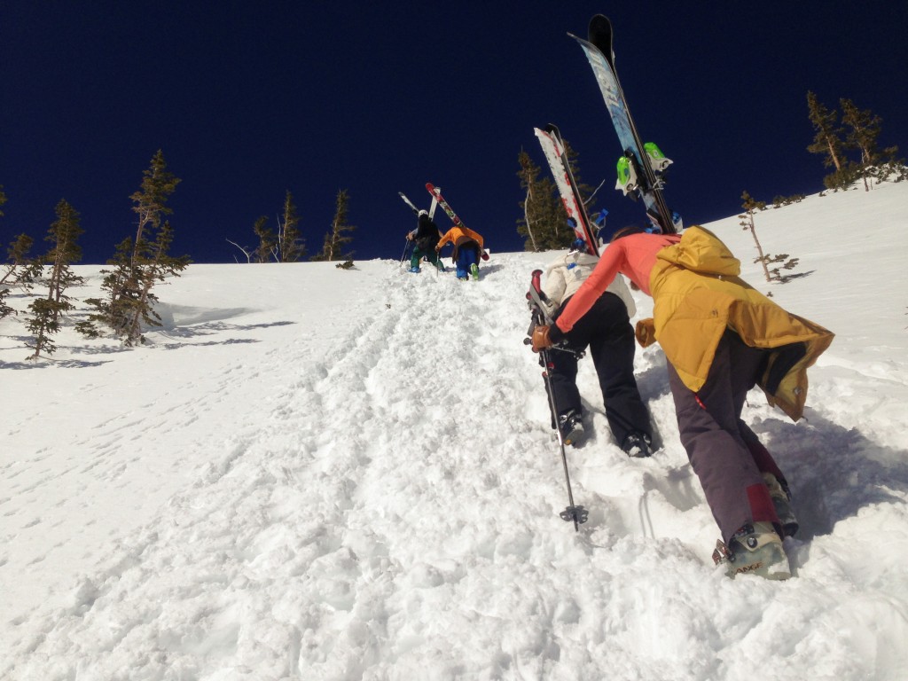 Baldy Chute Alta photo