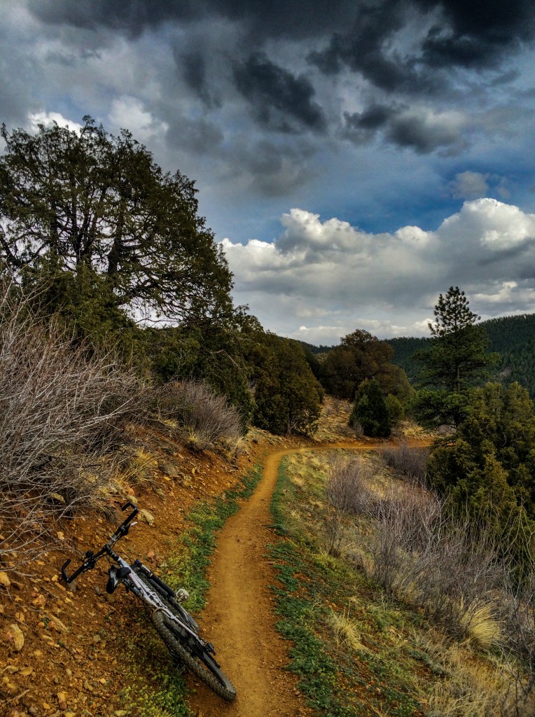 Centennial store cone mtb