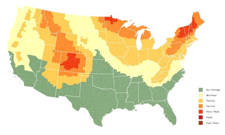 aspen tree map colorado